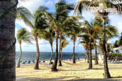 Divi Carina Bay All Inclusive Beach Resort 3* - Фото отеля