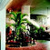Tropicana 3*
