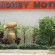 Money Motel 