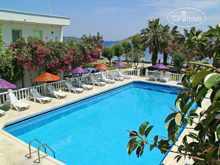 Новые добавленные фото туристов в Nova Park 3*