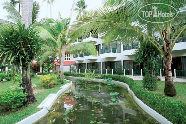 Новые добавленные фото туристов в Amora Beach 4*
