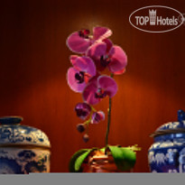 Orchidacea Resort 3* - Фото отеля