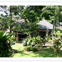 Phuket Island View 3* - Фото отеля