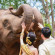 Фото Anantara Golden Triangle Elephant Camp & Resort