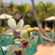 Photos Laluna Hotel & Resort