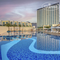 Infinity Pool в Royal M Al Aqah Beach Resort 5*