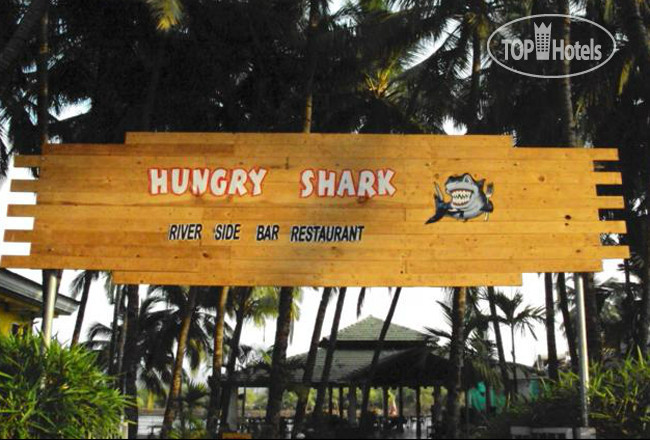 Фото Hungry Shark Guesthouse