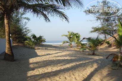 Новые добавленные фото туристов в Sea View Resort