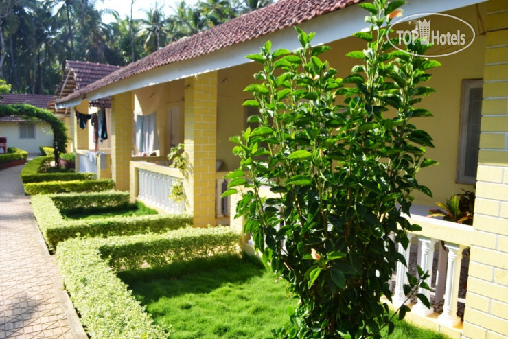 Новые добавленные фото туристов в Palolem Beach Resort 2*