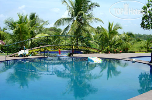 Новые добавленные фото туристов в Bollywood Sea Queen Beach Resort 3*