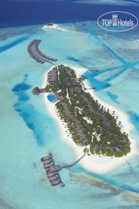 Фото Anantara Dhigu Resort&Spa Maldives