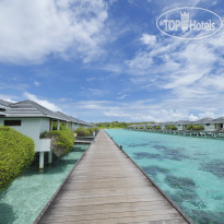 tophotels
