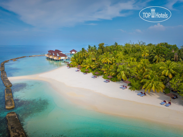 Новые добавленные фото туристов в Ellaidhoo Maldives by Cinnamon 4*