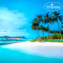 island club pool в Machchafushi Island Resort & Spa Maldives 5*