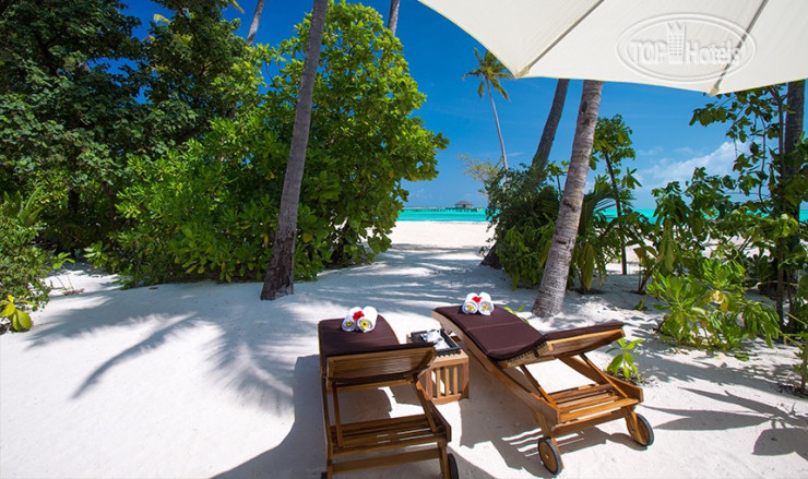 Новые добавленные фото туристов в Atmosphere Kanifushi 5*