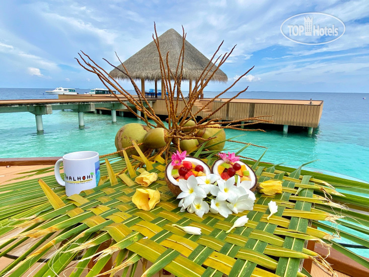 Новые добавленные фото туристов в Fihalhohi Island Resort 3*