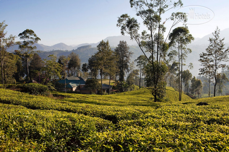Фотографии отеля  Ceylon Tea Trails 5*