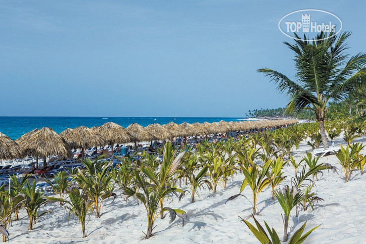 Пляж в Riu Republica 5*