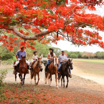 Casa de Campo Resort & Villas Horse riding