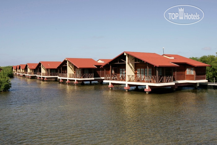 Новые добавленные фото туристов в La Laguna 4*