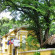 Фото Chablis Hotel