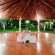 Photos Holiday Inn La Piedad