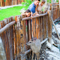 Occidental at Xcaret Destination 5* - Фото отеля
