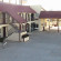 Фото Travelodge Holbrook