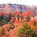 Best Western Plus Bryce Canyon Grand 