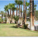 Oasis Las Vegas RV Resort 