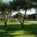 Zorbas Village Hotel 4*