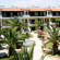 Фото Ioli Village