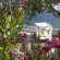 Danai Beach Resort & Villas White Villa