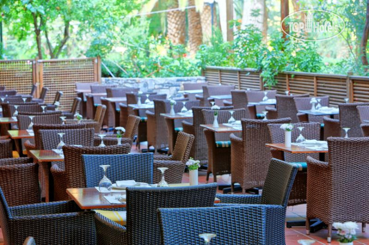 Новые добавленные фото туристов в Apollonia Beach Resort & Spa 5*