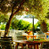 Mediterraneo olive garden restaurant
