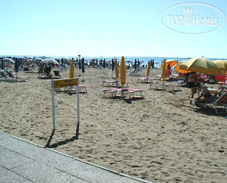 Новые добавленные фото туристов в Terramare 3*