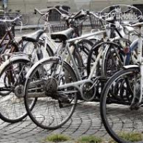 Plaza бесплатный прокат велосипедов