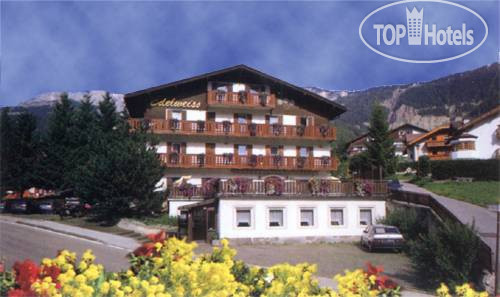 Фотографии отеля  Edelweiss hotel Vigo di Fassa 2*