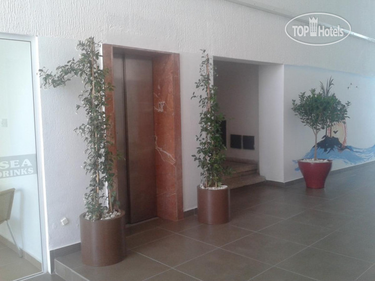 Новые добавленные фото туристов в Palm Sea Holiday Beach Apartments