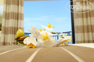Constantinos The Great Beach Hotel 5* - Фото отеля