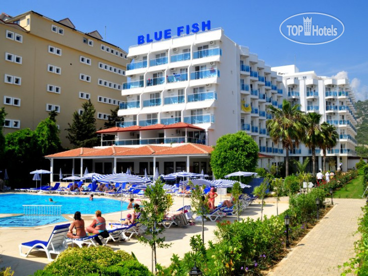 Фото Blue Fish Hotel