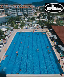 Pineta Club Hotel 4* - Фото отеля