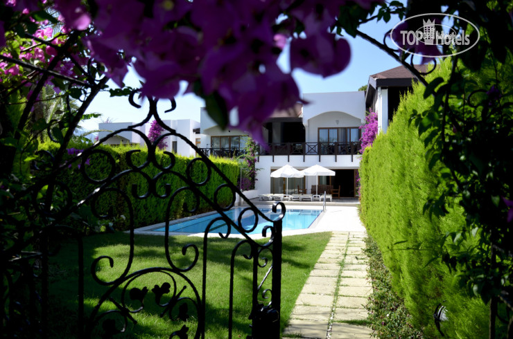 Emelda Sun Club