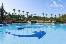 медиа файл