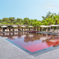 Красный бассейн в Golden Sun 4*