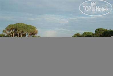 Cornelia Diamond Golf Resort & Spa 5* - Фото отеля