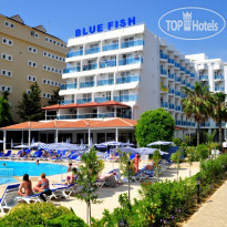 Blue Fish Hotel 
