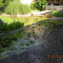 Club Resort Atlantis HV-1 - Фото отеля