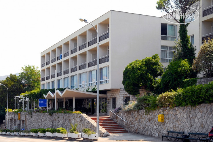 Новые добавленные фото туристов в Adriatic 2*
