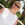 Fun sun family life side 5 отзывы. Смотреть фото Fun sun family life side 5 отзывы. Смотреть картинку Fun sun family life side 5 отзывы. Картинка про Fun sun family life side 5 отзывы. Фото Fun sun family life side 5 отзывы